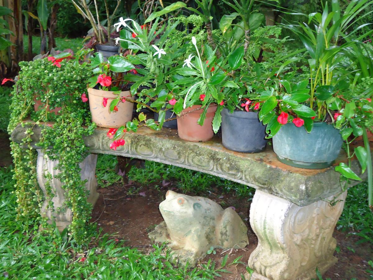 Quinta Don Fernando La Garita (Alajuela) Exterior foto